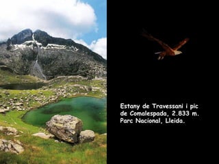 Estany de Travessani i pic de Comalespada, 2.833 m. Parc Nacional, Lleida. 