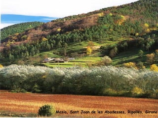 Masia, Sant Joan de les Abadesses, Ripollés, Girona. 