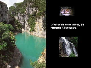 Congost de Mont Rebei, La Noguera Ribargoçana. 