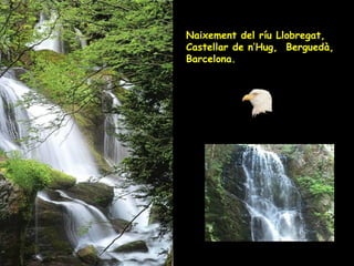 Naixement del ríu Llobregat, Castellar de n’Hug,  Berguedà, Barcelona. Naixement del ríu Llobregat, Castellar de n’Hug,  Berguedà, Barcelona. 