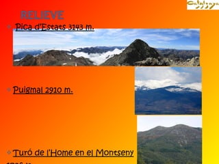 Pica d’Estats 3143 m. 
Puigmal 2910 m. 
Turó de l’Home en el Montseny 
1706 m. 
 
