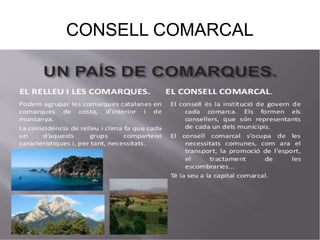 CONSELL COMARCAL
 