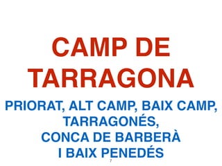 CAMP DE
TARRAGONA
PRIORAT, ALT CAMP, BAIX CAMP,
TARRAGONÉS,
CONCA DE BARBERÀ
I BAIX PENEDÉS7
 