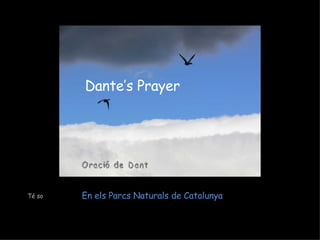 Dante’s Prayer En els Parcs Naturals de Catalunya Oració de Dant Té so 