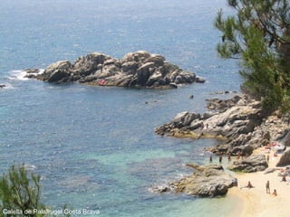 Calella de Palafrugel Costa Brava 
