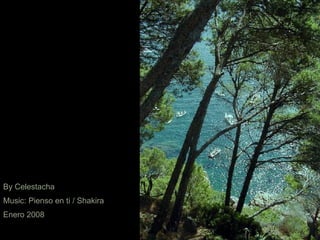 By Celestacha Music: Pienso en ti / Shakira Enero 2008 