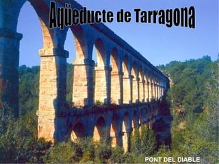 PONT DEL DIABLE 