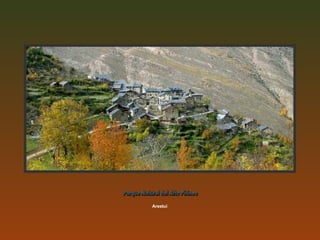 Arestui Parque Natural del Alto Pirineo 