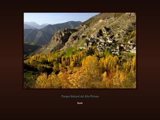Gurb Parque Natural del Alto Pirineo 