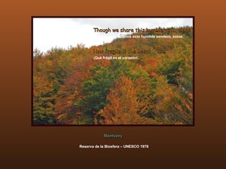 Reserva de la Biosfera – UNESCO 1978 Montseny Aunque compartimos este humilde sendero, solos. ¡Qué frágil es el corazón!. Though we share this humble path, alone How fragile is the heart 