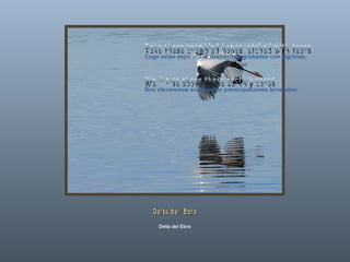 Delta de l'Ebre Delta del Ebro Coge estas esperanzas deshechas, grabadas con lágrimas. Nos elevaremos sobre estas preocupaciones terrenales.  Take these crumbled hopes, etched with tears We'll rise above these earthly cares 