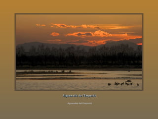 Aguazales del Empordà  Aiguamolls de l'Empordà 