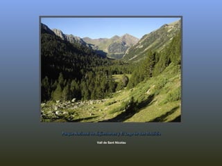 Vall de Sant Nicolau Parque Nacional de Aigüestortes y El Lago de San Mauricio 