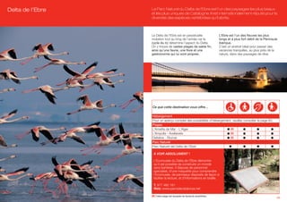 Delta de l’Ebre   Le Parc Naturel du Delta de l’Ebre est l’un des paysages les plus beaux
                  et les plus uniques de Catalogne. Il est internationalement réputé pour la
                  diversité des espèces vertébrées qu’il abrite.



                  Le Delta de l’Ebre est en perpétuelle                 L’Ebre est l’un des fleuves les plus
                  mutation tout au long de l’année car le               longs et à plus fort débit de la Péninsule
                  cycle du riz détermine l’aspect du Delta.             ibérique.
                  On y trouve de vastes plages de sable fin,            C’est un endroit idéal pour passer des
                  ainsi qu’une faune, une flore et une                  vacances tranquilles, au plus près de la
                  gastronomie qui lui sont propres.                     nature, dans des paysages de rêve.




                  Ce que cette destination vous offre…

                  Hébergement
                  Pour un aperçu complet des possibilités d’hébergement, veuillez consulter la page 60.
                  Plages                                               (A)
                  L’Ametlla de Mar - L’Alger                           (A)
                  L’Ampolla - Avellanets                               (A)
                  Deltebre - Riumar                                    (A)
                  Parc Naturel
                  Parc Naturel del Delta de l’Ebre

                   A VOIR ABSOLUMENT !

                   L’Ecomusée du Delta de l’Ebre démontre
                   qu’il est possible de construire un monde
                   sans barrières. Il dispose de personnel
                   spécialisé, d‘une maquette pour comprendre
                   l’Ecomusée, de panneaux disposés de façon à
                   faciliter la lecture, et d’informations en braille.

                   T. 977 482 181
                   Web: www.parcsdecatalunya.net

                  (A) Cette plage est équipée de fauteuils amphibies.
                                                                                                                 43
 