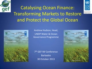 Catalysing Ocean Finance:
Transforming Markets to Restore
and Protect the Global Ocean
Andrew Hudson, Head,
UNDP Water & Ocean
Governance Programme

7th GEF IW Conference
Barbados
30 October 2013

 