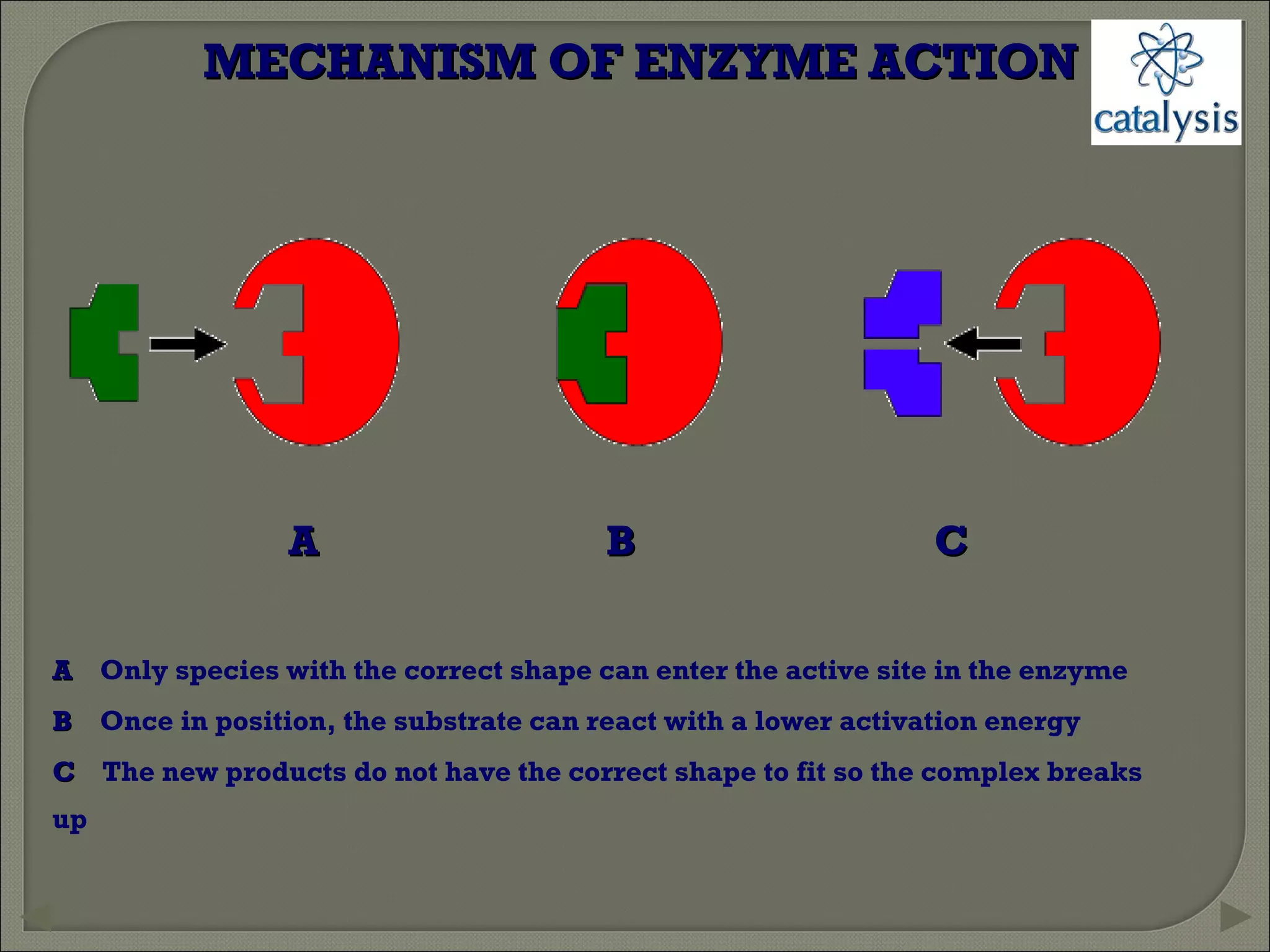Catalysis | PPT