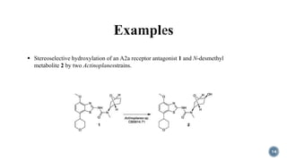 14
 Stereoselective hydroxylation of an A2a receptor antagonist 1 and N-desmethyl
metabolite 2 by two Actinoplanesstrains.
 