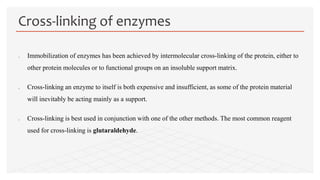  Immobilization of enzymes has been achieved by intermolecular cross-linking of the protein, either to
other protein molecules or to functional groups on an insoluble support matrix.
 Cross-linking an enzyme to itself is both expensive and insufficient, as some of the protein material
will inevitably be acting mainly as a support.
 Cross-linking is best used in conjunction with one of the other methods. The most common reagent
used for cross-linking is glutaraldehyde.
Cross-linking of enzymes
 