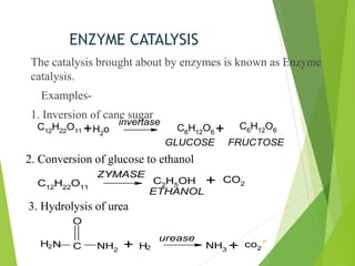 ENZYME CATALYSIS
The catalysis brought about by enzymes is known as Enzyme
catalysis.
Examples-
1. Inversion of cane sugar
C12H22O11 +H2o
invertase
C6H12O6 + C6H12O6
GLUCOSE FRUCTOSE
C12H22O11
ZYMASE
+
C2H5OH CO2
ETHANOL
2. Conversion of glucose to ethanol
3. Hydrolysis of urea
NH2
C
O
N
H2 + H2
urease
NH3 + co2
35
 