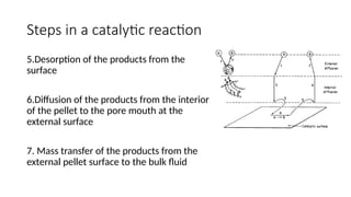 Catalysis and catalytic reactions in chemical reaction.pptx