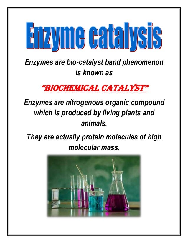 Catalysis Project Report