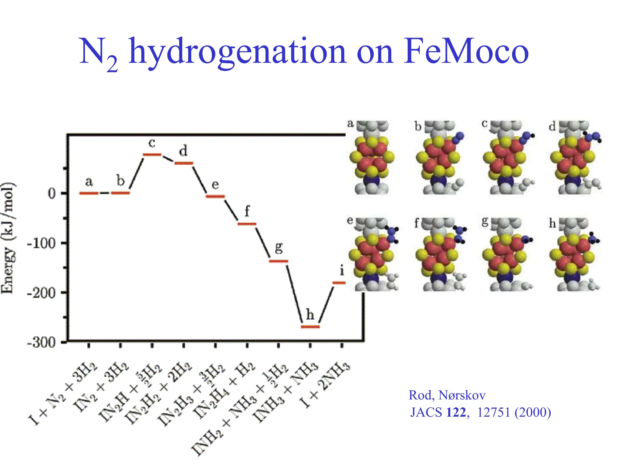 N2 hydrogenation on FeMoco
Rod, Nørskov
JACS 122, 12751 (2000)
 