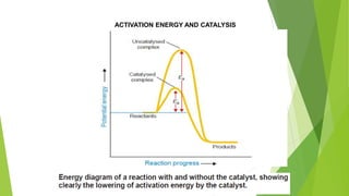 ACTIVATION ENERGY AND CATALYSIS
 