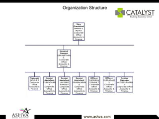 Organization Structure 