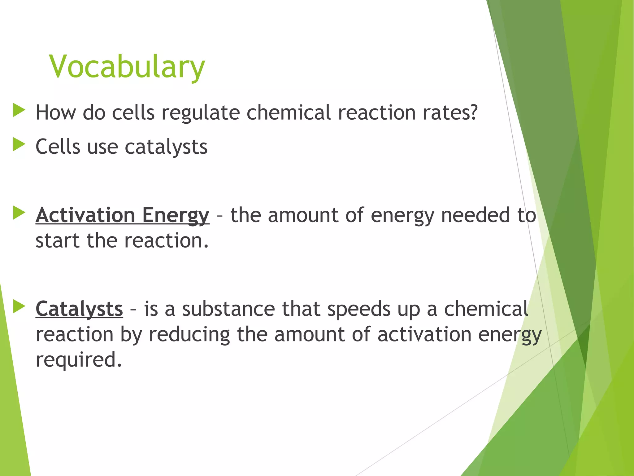 Vocabulary
How do cells regulate chemical reaction rates?
Cells use catalysts
Activation Energy – the amount of energy needed to
start the reaction.
Catalysts – is a substance that speeds up a chemical
reaction by reducing the amount of activation energy
required.