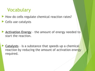 Vocabulary
 How do cells regulate chemical reaction rates?
 Cells use catalysts
 Activation Energy – the amount of energy needed to
start the reaction.
 Catalysts – is a substance that speeds up a chemical
reaction by reducing the amount of activation energy
required.
 