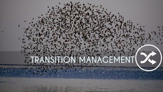 TRANSITION MANAGEMENT  