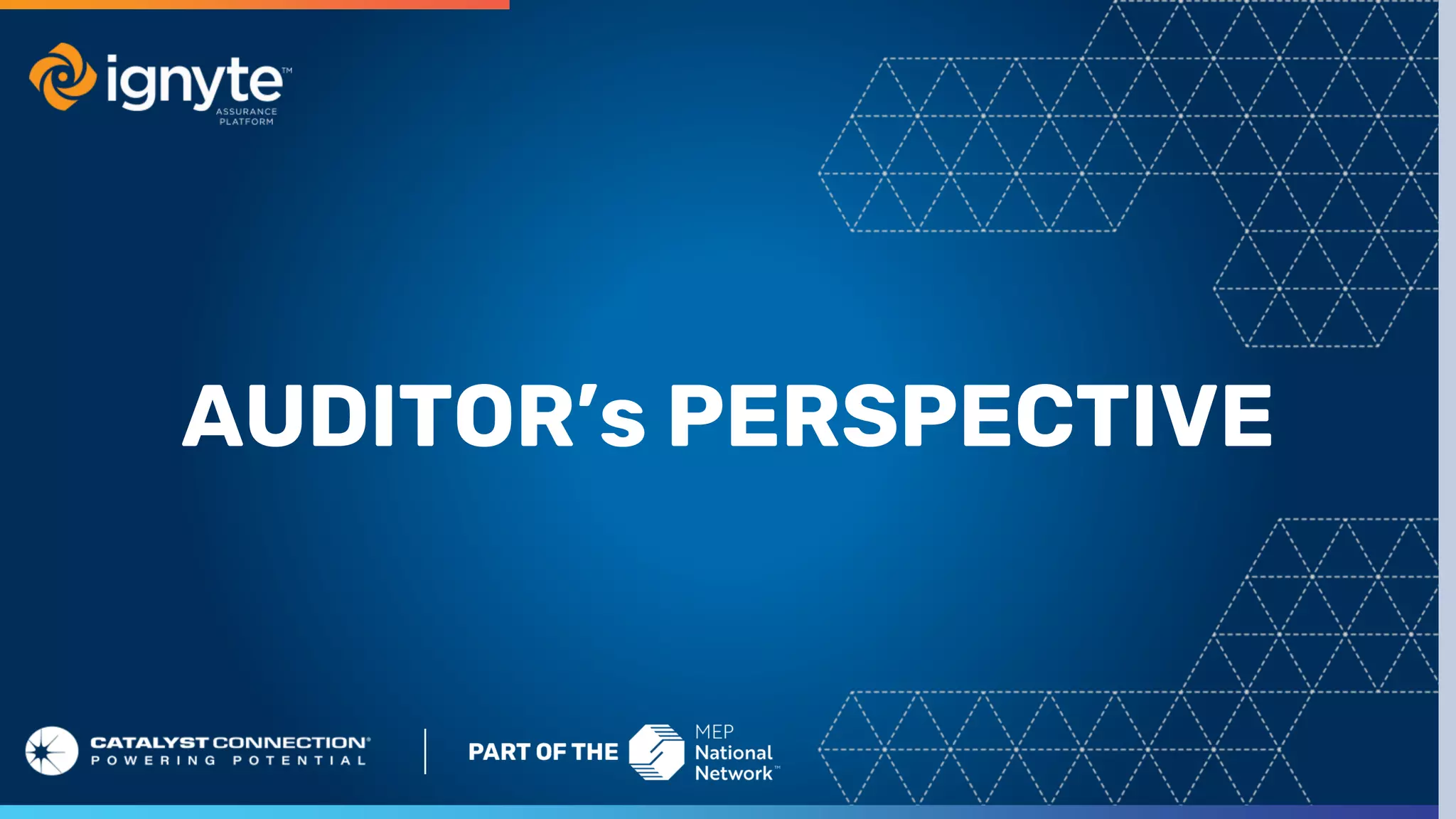 AUDITOR’s PERSPECTIVE
 