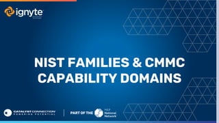 NIST FAMILIES & CMMC
CAPABILITY DOMAINS
 