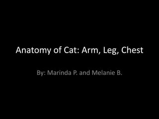 Anatomy of Cat: Arm, Leg, Chest

     By: Marinda P. and Melanie B.
 