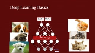 Cat and dog classification | PPT