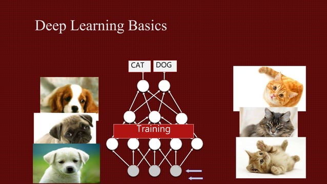 Cat and dog classification
