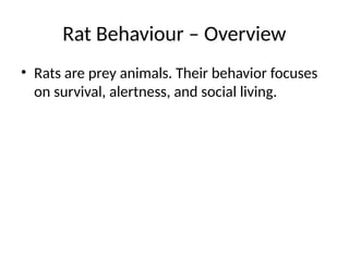 Cat_and_Rat_Behaviour__Presentation.pptx