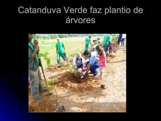 Catanduva Verde faz plantio de árvores 
