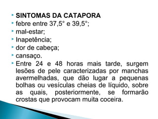  SINTOMAS DA CATAPORA
 febre entre 37,5° e 39,5°;
 mal-estar;
 Inapetência;
 dor de cabeça;
 cansaço.
 Entre 24 e 48 horas mais tarde, surgem
  lesões de pele caracterizadas por manchas
  avermelhadas, que dão lugar a pequenas
  bolhas ou vesículas cheias de líquido, sobre
  as quais, posteriormente, se formarão
  crostas que provocam muita coceira.
 