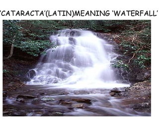 ‘ CATARACTA’(LATIN)MEANING ‘WATERFALL’ 