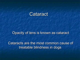 Cataract


  Opacity of lens is known as cataract

Cataracts are the most common cause of
      treatable blindness in dogs
 