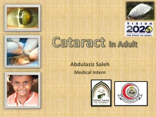 Abdulaziz Saleh
Medical Intern

 