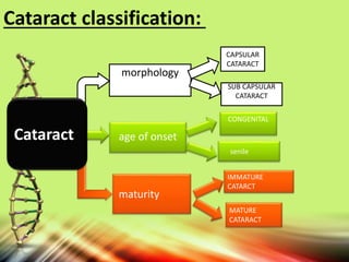 age of onset
CONGENITAL
senile
SUB CAPSULAR
CATARACT
CAPSULAR
CATARACT
morphology
IMMATURE
CATARCT
MATURE
CATARACT
maturity
Cataract
Cataract classification:
 