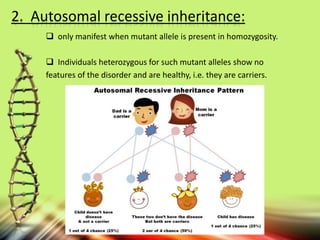 2. Autosomal recessive inheritance:
 only manifest when mutant allele is present in homozygosity.
 Individuals heterozygous for such mutant alleles show no
features of the disorder and are healthy, i.e. they are carriers.
 