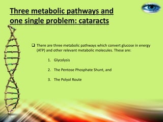 Three metabolic pathways and
one single problem: cataracts
 There are three metabolic pathways which convert glucose in energy
(ATP) and other relevant metabolic molecules. These are:
1. Glycolysis
2. The Pentose Phosphate Shunt, and
3. The Polyol Route
 