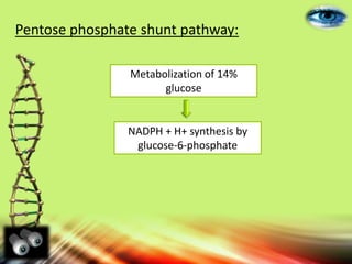 Metabolization of 14%
glucose
NADPH + H+ synthesis by
glucose-6-phosphate
Pentose phosphate shunt pathway:
 