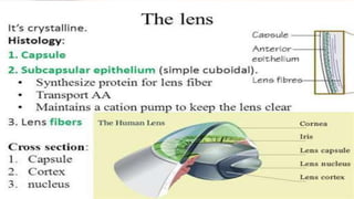 Cataract Structure Cataract and its management | PPTX