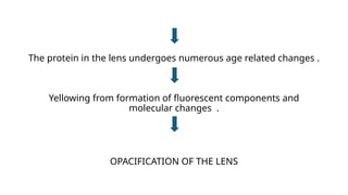 The protein in the lens undergoes numerous age related changes .
Yellowing from formation of fluorescent components and
molecular changes .
OPACIFICATION OF THE LENS
 