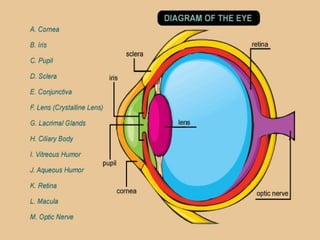 CATARACT a short introduction and management.pptx