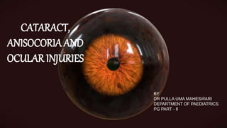 CATARACT, ANISOCORIA AND OCCULAR INJURIES
BY
DR PULLA UMA MAHESWARI
DEPARTMENT OF PAEDIATRICS
PG PART - II
CATARACT,
ANISOCORIA AND
OCULAR INJURIES
BY
DR PULLA UMA MAHESWARI
DEPARTMENT OF PAEDIATRICS
PG PART - II
 